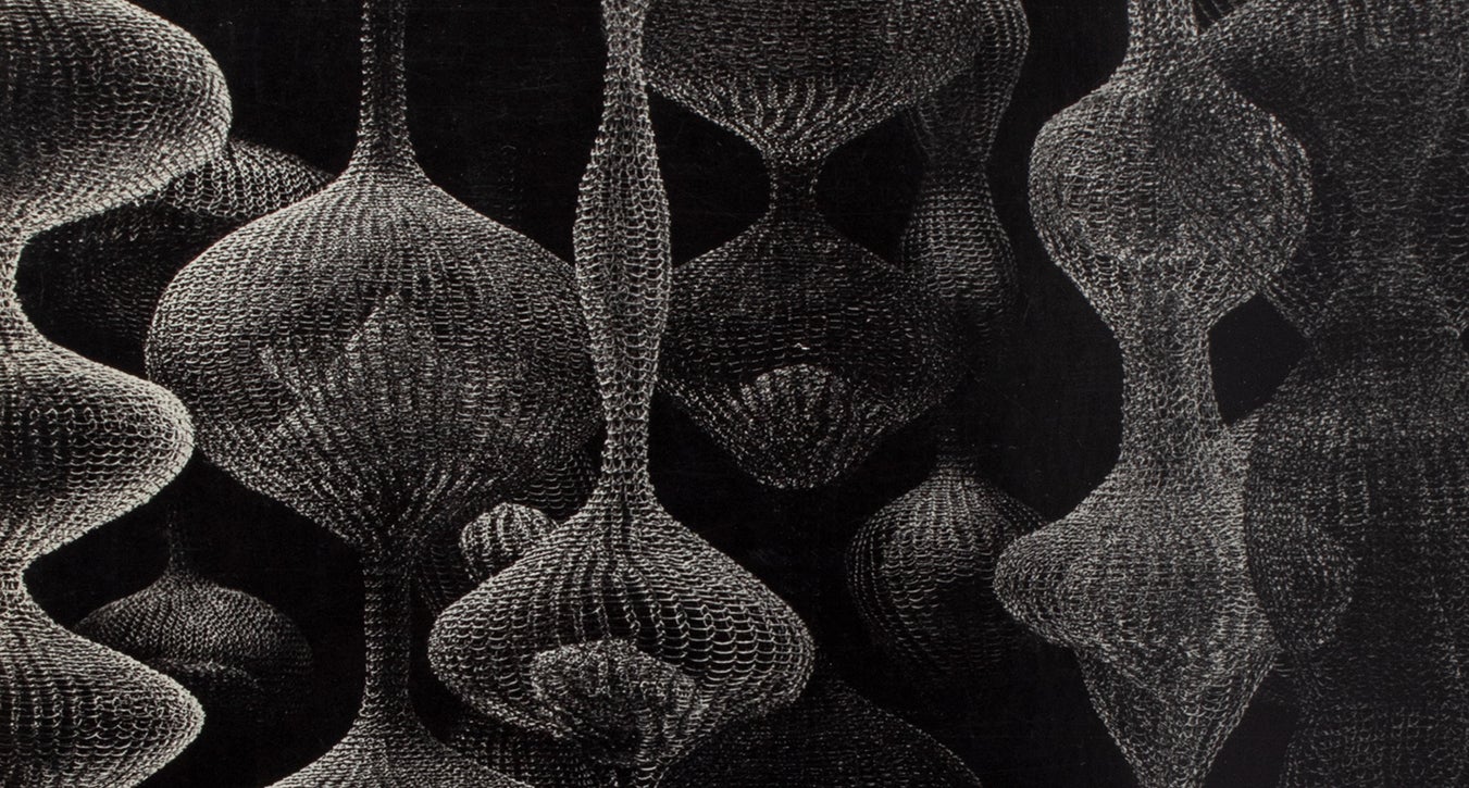 Harper's Books Highlight