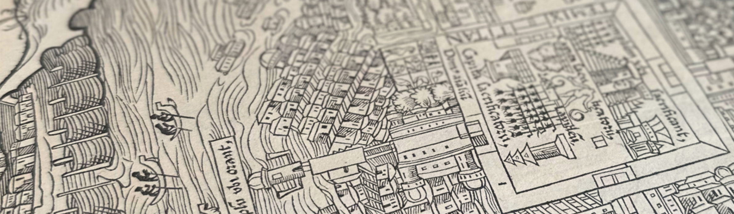 James Cummins Bookseller Highlight